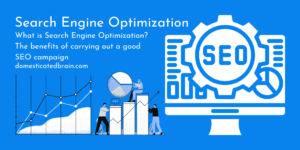 Read more about the article Search Engine Optimization