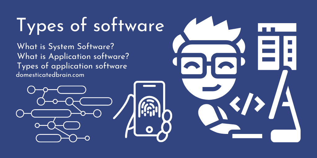 Types Of Software Domesticated Brain