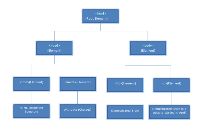 Fundamentals of HTML | Domesticated Brain