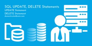 Read more about the article SQL UPDATE, DELETE Statements 