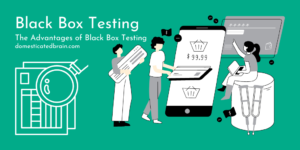 Read more about the article Black Box Testing