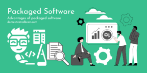 Read more about the article Packaged Software