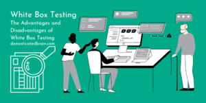 Read more about the article White Box Testing
