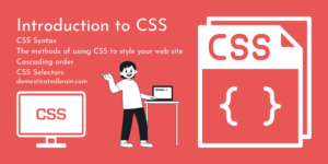 Read more about the article Introduction to CSS
