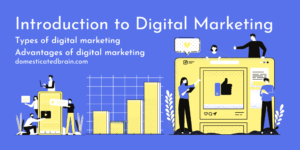 Read more about the article Introduction to Digital Marketing