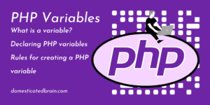 Read more about the article PHP Variables