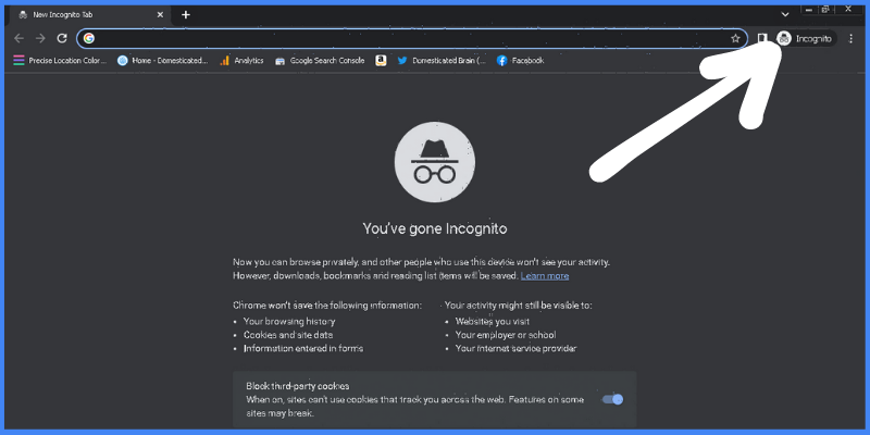 Google Chrome Incognito Mode 02
